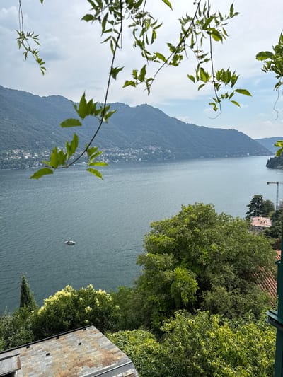 A high-angle shot captures a serene vista of Lake Como in Moltrasio, Italy. In the foreground, verdant foliage obscures parts of the frame, with leaves and branches framing the scene. Below, a weathered, grey tiled roof slopes downwards, partly in shadow. Further down, lush green trees and shrubs dominate the landscape. A small, white boat floats on the dark, rippling surface of Lake Como, which stretches out to meet rolling, tree-covered mountains in the distance. The mountainside is dotted with buildings, suggesting a town clinging to the slopes. The sky is overcast with soft, grey clouds. A construction crane is visible on the far right side of the lake, near some buildings. The overall atmosphere is tranquil and natural.