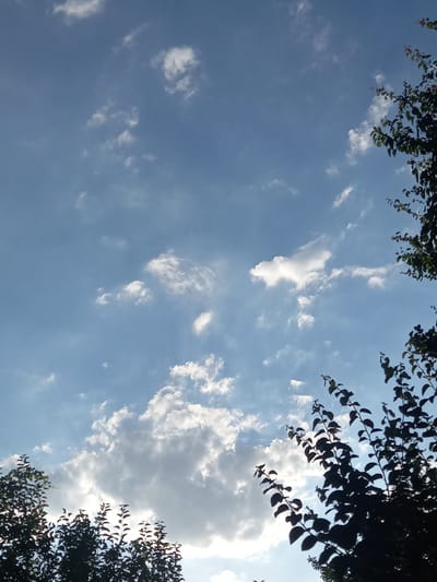 The image depicts a sky filled with scattered white and grey clouds against a clear blue backdrop. Silhouettes of tree branches and foliage are visible in the foreground, framing the sky from the bottom and right edges of the frame. The lighting suggests it is daytime, with sunlight filtering through the clouds. The scene is consistent with an outdoor environment in a location like Keles, Uzbekistan, where such skies and vegetation are common. There are no people or discernable actions in the image.