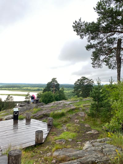 An elevated, overcast view from a rocky outcrop looks out over a lake and a forested valley. In the foreground, a wet wooden platform with several log stumps is to the left of the frame. Further up the outcrop, two individuals are visible, one wearing a bright pink hooded garment and another in dark clothing. They are standing near a wooden bench, appearing to observe the landscape. The rocky terrain is interspersed with patches of grass and small yellow flowers. A large pine tree with dense needles dominates the upper right portion of the image, with its branches extending over the scene. A rustic wooden pole stands near the pine tree. The background features a tranquil lake reflecting the cloudy sky, surrounded by rolling green hills and a dense forest stretching towards the horizon. The scene suggests a natural park or viewpoint location within the city of Lakhdenkpiya, Russia.