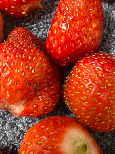 This is a close-up, eye-level shot of several strawberries. The strawberries are a vibrant red color, and their surfaces are covered with small, yellow seeds. Some of the strawberries appear to be whole, while others are cut in half, revealing their white flesh and green core. The strawberries are resting on a gray, textured surface, which appears to be a towel or cloth. The lighting in the image is soft and even, creating a slightly glossy sheen on the strawberries. There is no indication of the location in Koltushi, Russia.