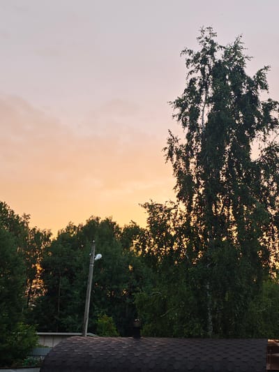 The image depicts a sunset scene in the SNT Luzhniki, Russia. The sky is a gradient of soft orange and pink hues, with scattered clouds. Silhouetted against the sky are the tops of several green trees, including a prominent, tall birch tree with delicate branches and leaves. In the foreground, the dark, shingled roof of a building is visible, with a chimney. A wooden utility pole with a streetlamp stands amidst the trees, with power lines stretching across the frame. The overall atmosphere is serene and natural, characteristic of a rural or suburban setting at dusk.