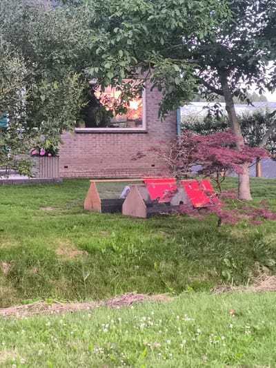 In the city of Almere, Netherlands, a backyard scene is depicted. A brick house with a window reflecting sunlight is partially visible behind lush green trees. In the foreground, a patch of grass features a small, rustic structure constructed from wood and covered with red material, possibly a chicken coop or animal shelter. A Japanese maple tree with purple foliage is situated next to the structure, and a stone planter filled with pink flowers is visible to the left. The ground is covered in green grass, with some wildflowers scattered throughout, and a drainage ditch runs along the bottom of the frame. The overall impression is one of a tranquil, residential outdoor space during daylight hours.