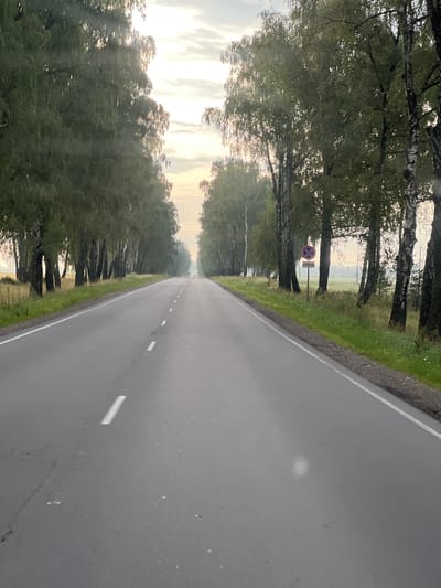 The image depicts a straight, two-lane asphalt road lined with a dense row of birch trees on both sides. The road has white dashed lines indicating lanes. The sky is overcast with soft, diffused light suggesting either early morning or late afternoon. A traffic sign with a red circle and a diagonal red bar over a red "X" symbol, indicating no stopping or parking, is visible on the right side of the road, accompanied by a smaller sign below indicating "250 m." The surrounding environment is rural, with glimpses of grassy fields and more trees in the distance. There are no people or vehicles immediately visible on the road. The location is identified as the Chyrvonaslabodski Sel'ski Savet in Belarus.
