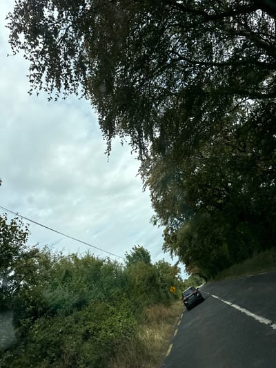 An overcast day is depicted in this photograph, likely taken from a moving vehicle looking out towards a rural road. Lush green trees and foliage line both sides of the asphalt road, creating a tunnel-like effect overhead as their branches intermingle. A dark-colored car is visible on the right side of the road, facing away from the camera. A yellow warning sign with a symbol of a single aircraft is positioned on the left side of the road, near the edge of the foliage. Power lines are also visible stretching across the upper portion of the image. The overall impression is that of a scenic drive through a verdant countryside. This scene could be situated within the New Ross Municipal District of Ireland, known for its picturesque rural landscapes and winding country roads.