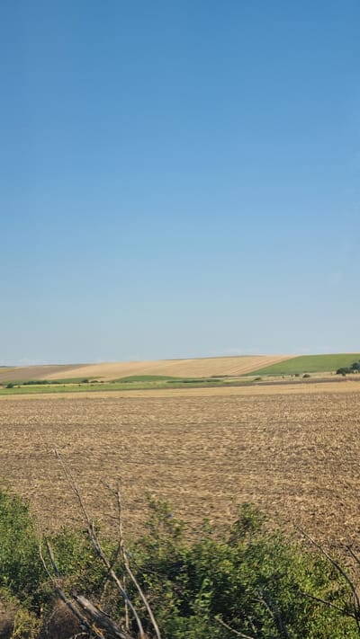 The image depicts a rural landscape under a clear blue sky. In the foreground, there is a patch of green foliage and dry branches. Beyond this, a vast field of harvested crops, appearing as stubble or dry earth, stretches into the middle ground. Further back, the land rises into rolling hills, revealing different shades of brown and green, suggesting agricultural fields with varying crops or stages of growth. The horizon is smooth, with a subtle curvature to the earth. The scene evokes a sense of open space and agricultural activity, likely in a rural setting. The specific location in Karaisen, Bulgaria, is implied but not visually represented within the image itself.