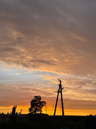 The image depicts a silhouetted landscape at sunset, possibly in the vicinity of Sovkhoznyi, Russia, characterized by a vibrant sky filled with orange and grey clouds. In the foreground, a tall, wooden power pole with insulators and wires stretches upwards, dominating the right side of the frame. To the left of the power pole, a large, dark silhouette of a coniferous tree stands against the bright sunset. Further left, another silhouetted structure, possibly a small building or industrial element, is visible. The horizon is lined with dark trees and the vague shapes of buildings, suggesting a rural or semi-urban setting. The ground and the lower portions of the scene are obscured by darkness, with only the silhouettes of vegetation and structures discernible. The overall impression is one of a tranquil evening scene, with the dramatic sky being the focal point.