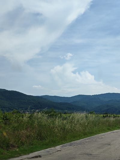 The image captures a panoramic landscape located near Malko Gradishte, Bulgaria, under a partly cloudy sky. The upper half to two-thirds of the frame is dominated by a light blue sky with significant white and gray cloud formations; a large, dense cloud mass occupies the upper left quadrant, while smaller, scattered clouds are visible towards the right. Below the sky, multiple layers of verdant, densely forested mountains and hills extend horizontally across the midground, exhibiting atmospheric perspective with more distant ranges appearing bluer and fainter.

In the valley between the closer mountain ridges, a small cluster of buildings, indicative of a village or settlement, is faintly visible. The lower section of the image features a transition from a band of rich green vegetation, possibly vineyards or agricultural fields, to the immediate foreground. The foreground consists of tall, wild grass with a mix of green and dry, lighter-colored stalks, appearing somewhat blurred, consistent with motion. In the lower right corner, a segment of a worn, cracked asphalt road is present, curving gently upwards and to the right. No individuals or animate subjects are discernible within the frame. The scene is illuminated by natural daylight, suggesting an overcast or diffused light condition.