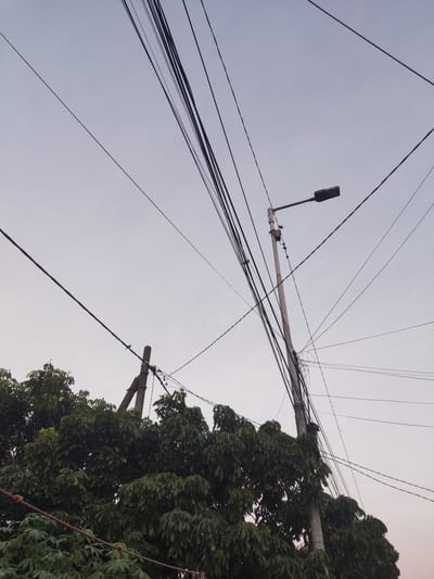 The image is a low-angle shot of a utility pole with a streetlamp and a tangle of power lines against a pale sky. The pole is made of concrete and has a streetlamp attached to it. The power lines are numerous and appear disorganized, with some running horizontally and others diagonally across the frame. In the lower left and center of the image, the dense green foliage of a tree is visible, partially obscuring the base of the pole. The sky is overcast and a uniform light grey color, suggesting either early morning or late evening. There are no people or animals visible in the frame. The scene depicts a typical urban or suburban street infrastructure.