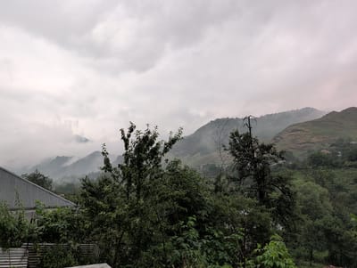 The image shows a cloudy, overcast day in Toğanalı, Azerbaijan. In the foreground, there is a grey, corrugated metal roof of a building and dense green foliage. To the right of the building, a gnarled, bare tree trunk stands out against the greenery. Behind the trees, rolling hills covered in vegetation rise up, partially obscured by mist. The sky is filled with heavy, grey clouds, hinting at possible rain or fog. The scene appears to be a rural or semi-rural area with a focus on the natural landscape and a hint of human habitation.