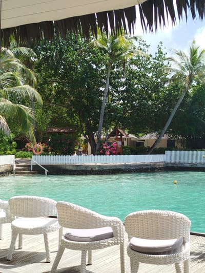 In Gulhi Falhu, Maldives, an outdoor seating area faces a bright turquoise lagoon. White wicker chairs with light gray cushions are arranged on a wooden deck. Beyond the deck, a low white picket fence separates the seating area from a stone embankment and steps leading down to the water. Lush green trees and palm trees form a dense backdrop, with a glimpse of bungalows or buildings nestled amongst the foliage. A red and orange life preserver hangs on a post to the left. The water has gentle ripples, and a single yellow buoy floats in the distance. The scene is bathed in natural sunlight, casting shadows on the deck.