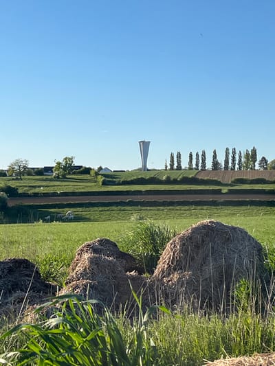 The image depicts a rural scene in Reckange-sur-Mess, Luxembourg. In the foreground, several hay bales are stacked amidst tall green grass. Beyond the hay bales, a green field is visible, divided by dark dirt paths, leading towards a distant row of trees. In the midground, a white water tower stands prominently in the landscape. A few small buildings are visible near the base of the water tower. The sky is clear and blue, with no visible clouds. There are birds.