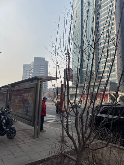 The image depicts an urban street scene in Dadong District, Shenyang, China, under an overcast sky. In the foreground, an adult male, dressed in a red jacket, dark pants, and light-colored shoes, stands on a tiled sidewalk facing a multi-lane asphalt road. He is positioned at a bus stop, identifiable by a grey metal shelter featuring two advertising panels, one displaying an advertisement for "佳合口腔医院" (Jiahe Stomatological Hospital), and a red pole-mounted sign displaying bus routes 217, 117, and 147. A black scooter is parked to the left of the bus shelter. Multiple bare deciduous trees with slender branches are prominent in the foreground and mid-ground, partially obscuring a dark-colored vehicle on the right side of the road. The asphalt road surface exhibits wet patches, and other vehicles are visible further down the street. The background is dominated by modern high-rise buildings, including a tall glass-facade skyscraper on the right and a white, curved architectural building on the left. Commercial storefronts with red accents and indistinct figures are visible on the opposite side of the street.