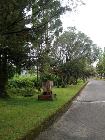 A paved road, constructed with gray rectangular pavers, extends into the distance, bordered by a green grassy area. Various trees populate the scenery, including tall conifers and leafy trees with a visible canopy. An old, weathered flower pot sits on a rectangular base, positioned on the green grass. A dense collection of bushes and vegetation stands to the left, adding to the natural, outdoorsy atmosphere.