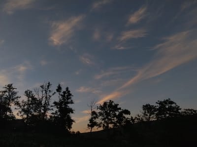 The image depicts a silhouette of trees against a twilight sky with wispy clouds. The setting is likely Cîrpești, Moldova, given the context provided. The foreground is dark, showing the dense foliage of trees and undergrowth, with the outlines of their branches clearly visible against the lighter sky. The sky itself transitions from a pale orange near the horizon to a deep blue overhead. Wispy, elongated clouds are scattered across the sky, some tinged with pink and orange from the setting sun. There are no people or animals visible in the frame. The overall impression is one of a peaceful, natural landscape at dusk.