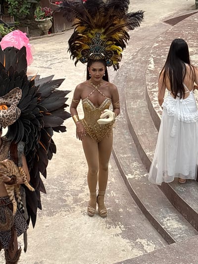 The image shows two women in costumes and what appears to be an outdoor performance or celebration. The woman in the foreground is wearing a golden, sequined leotard and an elaborate headdress with large feathers in brown, yellow, and blue. She has a large fan of black feathers with orange accents behind her, and parts of what look like faux animal pelts and pink fabric are visible below. Her body is adorned with gold jewelry, including a bracelet and a necklace. She is looking towards the camera with a smile.
The second woman, in the background, is wearing a long white dress with ruffled details. She is facing away from the camera, her long dark hair flowing down her back.
The setting appears to be an outdoor area with a textured, light-colored ground that has a pattern of curved lines, possibly stairs or a decorative walkway. In the background, there are some plants and a stone vase with red flowers. The overall scene suggests a festive or cultural event, possibly a parade or a performance, given the elaborate costumes. The lighting suggests it is daytime. The location context of Nong Prue, Thailand, hints at a possible cultural festival or tourist attraction. There is no visible text in the image.