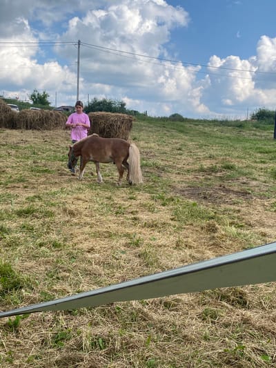 An overhead shot shows a young person in a pink shirt leading a small brown horse with a tan mane and tail across a grassy field. Several large bales of hay are stacked in the background, with a few cars visible behind them. The sky is a bright blue with fluffy white clouds. The location appears to be a rural area or a farm, possibly in or near the city of Lyuk, Russia. The foreground features a blurred green and gray barrier.