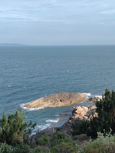 This image depicts a coastal scene in Tuy Phong 4, Vietnam, viewed from an elevated position overlooking the sea. The horizon spans the upper third of the frame, showing a light blue sky with faint, scattered clouds transitioning to a hazy pale blue. The majority of the image is dominated by the deep blue-green ocean, exhibiting light surface ripples. Scattered across the mid-ground of the water are approximately 18-20 small, light-colored, square-shaped fishing rafts or boats, some appearing to be connected by faint lines of buoys or fishing gear. In the far distance, a faint, dark landmass is visible on the horizon to the left.
In the lower-middle of the frame, a prominent, rounded, dark brown rock formation extends into the water, with white waves breaking against its edges. To the right and below this formation, jagged, dark brown rocks form the immediate shoreline, also touched by white-capped waves. The immediate foreground and right side of the image are filled with dense green vegetation, including taller evergreen trees with distinct needle-like foliage on the left and right, and lower, dense shrubs. Sunlight illuminates parts of the rocks and vegetation from the right side of the frame. No individuals are visible in the scene.