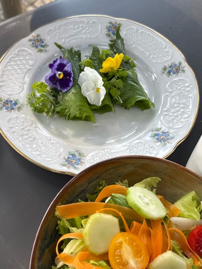 A close-up, eye-level shot features two dishes of food on a dark, textured surface, likely a table. In the foreground, a rustic brown and green ceramic bowl overflows with a fresh salad. The salad contains shredded lettuce, thinly sliced carrots, cucumber rounds, and halved yellow cherry tomatoes. In the background, a white porcelain plate with a gold rim and delicate blue floral designs holds three small, green-leafed rolls topped with edible flowers. One roll is adorned with a vibrant purple and yellow pansy, another with a delicate white pansy, and a third with a small yellow bloom and sprigs of green herbs. The scene suggests an outdoor dining setting, possibly on a patio or balcony overlooking a body of water, common in Pognana Lario, Italy. The lighting is natural and soft, highlighting the freshness of the food and the intricate details of the tableware.
