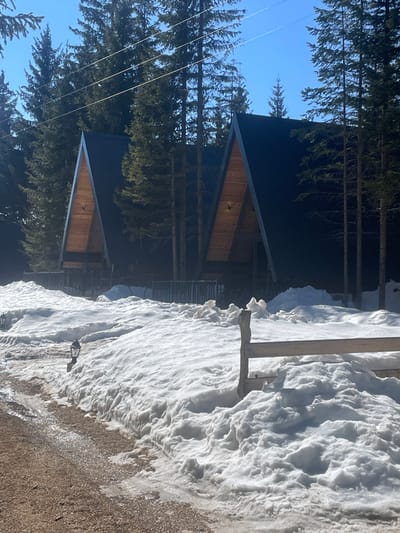 The image depicts a winter scene in Palež, Montenegro, under clear blue skies and bright sunlight. In the mid-ground, two A-frame style cabins with steeply pitched dark metal roofs and light wooden front facades are visible, positioned within a dense coniferous forest of tall, dark green trees. Each cabin's front facade features a single exterior light fixture. A dark fence or railing runs horizontally in front of the cabins, partially obscured by deep snow. The foreground features a light brown gravel or dirt path, wet in areas from melting snow, which recedes into the distance on the left. High, irregular piles of snow line both sides of the path, reaching several feet in height. At least two outdoor lantern-style light fixtures are visible emerging from the snow along the left edge of the path. On the right side of the mid-ground, a rustic wooden fence segment, consisting of a vertical post and two horizontal rails, is partially buried in the snow. No individuals are present in the scene, and no overt actions or interactions are depicted.