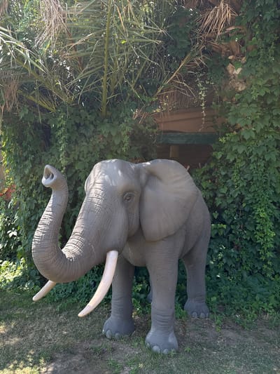 The image depicts a life-sized concrete statue of an elephant standing on a grassy area in front of a lush green ivy-covered wall. The elephant statue is gray, with prominent tusks and a trunk raised upwards. Behind the elephant, the ivy covers a wall, and some palm fronds and dry leaves are visible above the ivy. A section of a wooden structure with a green awning is partially visible through the dense foliage. The lighting suggests it is daytime with sunlight filtering through the vegetation. This scene is located in Asprovalta, Greece.