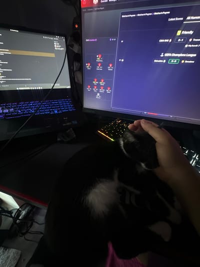 The image shows a person's hand petting a black and white cat that is lying on a black mechanical keyboard with rainbow lighting. The keyboard is positioned next to a computer monitor displaying a football management simulation game (possibly Football Manager), showing match information, including UEFA Champions League scores. Another monitor displays a chat application. The environment is dimly lit. There is no evidence suggesting this is in Savigny-en-Véron, France.
