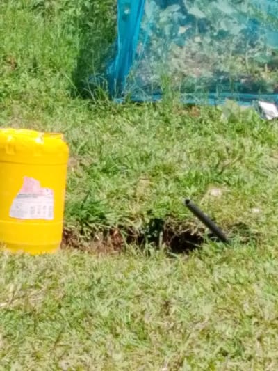 The scene, located in Sheywe ward, Kenya, depicts an outdoor area characterized by mostly green, partially mowed grass under direct sunlight. In the foreground-left, a cylindrical yellow plastic barrel, approximately two-thirds visible, stands upright with a partially obscured reddish-white label on its side. To the right of the barrel, a small patch of exposed soil is visible within the grassy terrain. Further to the right and slightly in the mid-ground, a dark, thin pipe, possibly metal or PVC, protrudes diagonally upwards from a small hole in the ground. In the background-center, a blue mesh or netting structure encloses an area of dense green foliage, suggesting a garden or crop cultivation. A small, light-colored piece of debris or material is visible near the base of the blue structure on the far right. No individuals are present.