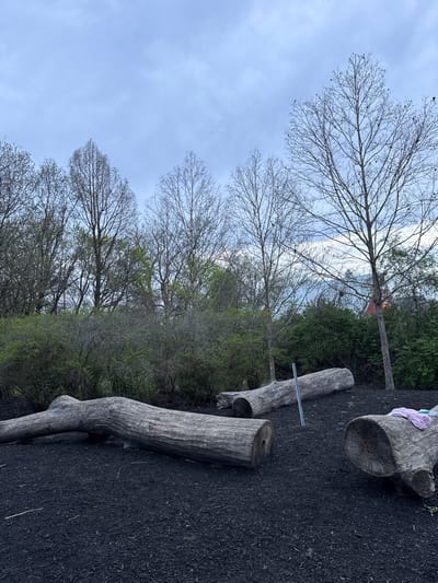 The image shows a park area in Grove City, United States of America. The ground is covered in dark mulch, likely rubber mulch based on its appearance and texture. Several tree trunks are repurposed as park features. One larger, hollowed trunk has a light purple object on top of it. Two smaller trunk segments are placed near a metal bar. Trees with bare branches are visible against a cloudy sky. Some trees exhibit nascent spring foliage. Green shrubbery provides a backdrop.