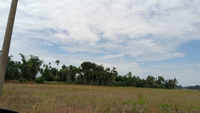 The image depicts a rural landscape in Kilometer Delapan, Indonesia, under a partly cloudy sky. In the foreground, a dry, harvested field is visible, with stubble from a previous crop. To the left, a tall, grey concrete pole is prominent, partially obstructing the view. Beyond the field, a dense line of various trees forms a natural barrier, including tall palm trees and broader leafy trees, with some bamboo stalks interspersed. The background shows a slightly hazy horizon with more distant vegetation. The overall scene is one of agricultural land and lush tropical greenery.