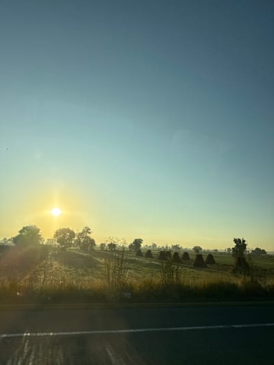 The image displays a rural landscape near Santa Ana Xalmimilulco, Mexico, at sunrise or sunset. A bright, low-lying sun with a prominent flare is positioned on the left side, casting a yellow-orange glow across the horizon and illuminating atmospheric haze. The sky transitions from a clear blue overhead to a lighter, yellowish hue near the horizon. The foreground features a dark asphalt road with a reflective white broken line, suggesting a vehicle perspective. Above the road, a strip of dry, light-colored vegetation separates it from expansive agricultural fields. These fields contain numerous dark, conical stacks of harvested crops, likely maize stalks, arranged in rows across the midground. A dense line of trees forms a dark silhouette against the luminous horizon in the background. No people, active subjects, or specific interactions are visible within the frame.