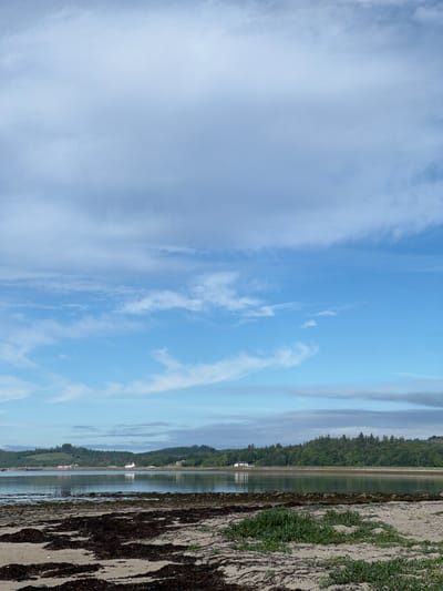The image depicts a coastal landscape with a calm body of water reflecting a pale blue sky filled with wispy clouds. In the foreground, a sandy shore is covered with dark seaweed and some low-lying green vegetation. Across the water, a treed shoreline is visible with some scattered houses. The overall impression is one of a tranquil, natural environment. The location is identified as Dunuisce, Ireland. There are no people or actions depicted in the image.