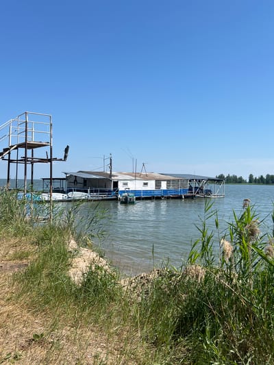 In the city of Borovoye, Russia, a floating structure resembling a houseboat or a fishing outpost is anchored in calm, greenish-blue water under a clear, bright blue sky. The structure is modular, with a white and blue main body and a corrugated metal roof. It has multiple windows and a covered, open-air section with a railing. A small boat is moored alongside it. To the left of the floating structure, a tall, multi-level metal platform with stairs and railings stands out against the sky, suggesting it might be a diving platform or a viewing deck. The foreground is dominated by the sandy shore covered in tall, green grasses and reeds, some of which have feathery seed heads. The water extends to the horizon, where a line of trees is visible in the distance. The scene is bathed in bright sunlight, indicating a daytime setting. There are no people visible in the image.