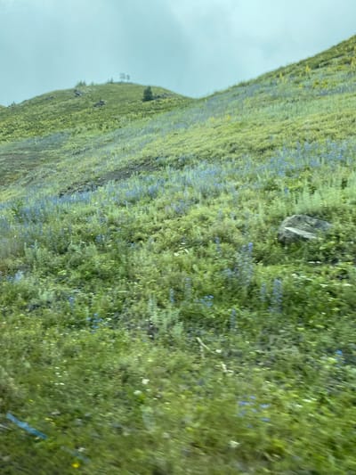 The image depicts a vast, green, grassy hillside dotted with small blue and yellow wildflowers. The hillside is sloping, with a darker patch of soil or rock running diagonally across the scene. A large, grey rock sits prominently on the upper slope. In the distance, a few sparse trees are visible on the hillside. The sky is overcast and appears a light grey color. The image is a landscape shot, possibly taken during the daytime. The overall impression is one of a natural, wild landscape. There is no visible text in the image. The image appears to be taken in Maloarslangulovo, Russia.