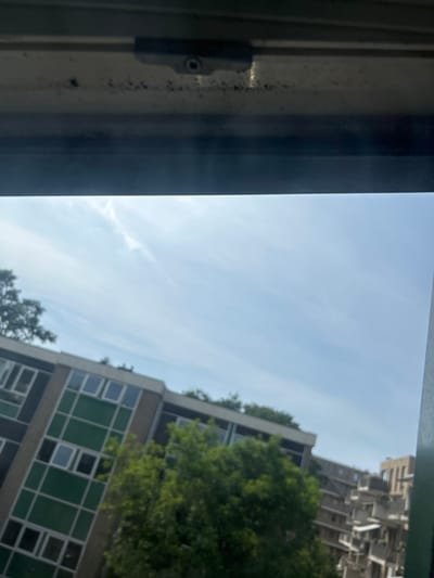 A view through a window frame shows a cloudy sky above buildings with green and white grid facades partially obscured by trees. A distant building with stacked balconies is visible. The window frame is gray. The scene suggests an urban environment, possibly Haarlem, Netherlands, given the architectural style of the buildings. No people are visible.