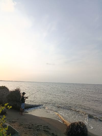 A man is fishing on a sandy beach with a fishing rod. The beach is located on the edge of the ocean, and the water is calm. There are no other people visible in the scene. The man is wearing a black shirt, black shorts, and a black cap. The sky is cloudy and the sun is setting. The image was taken in Arjasa, Indonesia, at the location of the provided coordinates. The man is casting his fishing line out into the water. There is a large log lying on the beach near the water. There is some vegetation growing in the foreground. The sand on the beach is light brown. The water is a light blue-grey colour.