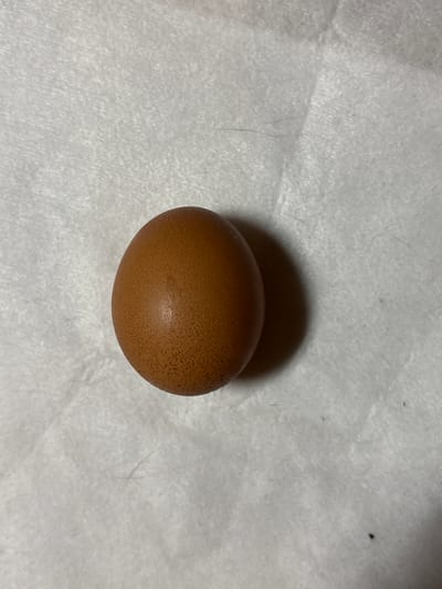The image prominently features a single brown egg resting on a white, textured surface. The egg is centrally located, appearing oblong with a slightly wider end and a narrower end. Its shell has a warm, medium brown hue and is covered with subtle, darker brown speckles, giving it a somewhat mottled appearance. A faint, slightly irregular line or minor imperfection is visible across the mid-section of the eggshell.
The egg casts a distinct, dark shadow behind and beneath it, indicating a primary light source positioned from the front-top.
The background consists of a soft, off-white material, likely a paper towel or a piece of crumpled fabric, as suggested by its irregular folds and textured surface. Scattered across this white surface are several tiny, dark specks and a few thin, dark hair-like strands. These details are more apparent in the provided cropped sections, highlighting the slightly soiled nature of the surface.
There is no activity or event taking place, as the image captures a static arrangement. No people are present, and there is no visible text. The time of day and weather cannot be determined. While the context mentions Dolna Banya, Bulgaria, there are no visual cues within the image itself to suggest this specific location.