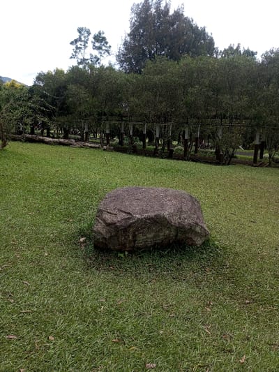 A large, irregularly shaped gray rock sits prominently on a green lawn. The grass is neatly cut, and the rock casts a small shadow. In the background, a row of trees with dense foliage lines the edge of the lawn, interspersed with wooden posts. Taller trees are visible behind the row of trees. The scene has a calm, natural atmosphere.