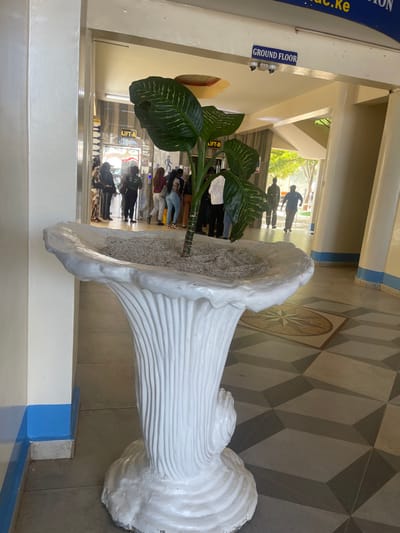 The scene depicts a lobby or common area within a hospital environment, specifically identified by a "GROUND FLOOR" sign, located in Kenya.
In the immediate foreground, a large, white, decorative planter, sculpted with vertical fluting and a flared, undulating rim, holds a single potted plant. The plant features large, variegated green leaves with lighter green stripes; one leaf has a visible tear. The planter is filled with a light, sandy material.
The floor is tiled with a geometric pattern of alternating gray and light gray trapezoidal shapes, creating an optical illusion. Further into the background, a circular tile inlay resembling a compass rose is visible.
Through an archway in the midground, a group of approximately 10-15 individuals, predominantly women dressed in casual attire, are queued or waiting on the left side. To the right, several male figures are walking towards a brightly lit exterior exit. Signs "LIFT-A" and "LIFT-B" are visible, along with partially visible institutional text "maduc.ke". Two security cameras are mounted overhead. The interior walls and pillars are light-colored with a distinct blue band at the base. No specific interactions between individuals are clearly discernible.