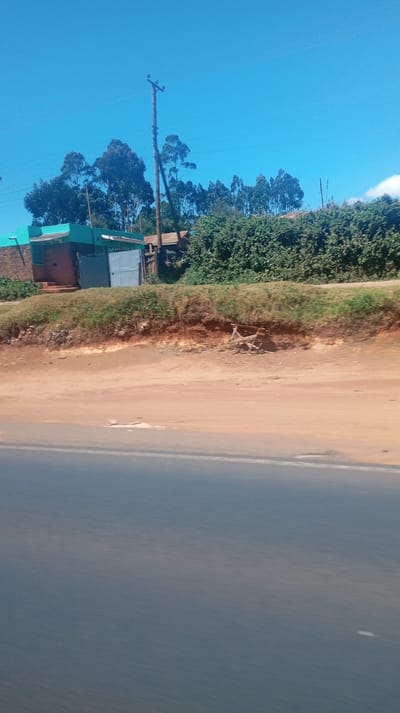 A roadside view reveals a cyan building with a gray gate perched atop a grassy embankment. Lush green bushes and tall trees line the background against a bright blue sky. A wooden telephone pole stands tall amidst the foliage. The foreground features a dirt slope and a dark asphalt road, creating a distinct contrast between the natural and developed elements. A hint of discarded wooden scraps rests below the embankment.