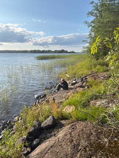 The image depicts a natural scene beside a body of water, likely a lake, under a partly cloudy sky. A person wearing dark clothing is seated on a rocky shoreline, facing the water. The shoreline is characterized by rough, dark rocks and patches of green vegetation, including tall grasses and some smaller yellow wildflowers. The water itself appears calm with ripples, and reeds or similar aquatic plants grow along the edge. In the distance, a tree line forms a dark horizon across the water. The overall impression is one of a tranquil, undeveloped natural setting. The prompt requests the location be identified as Shuiskaya Chupa, Russia, which is not visually verifiable from the image itself.