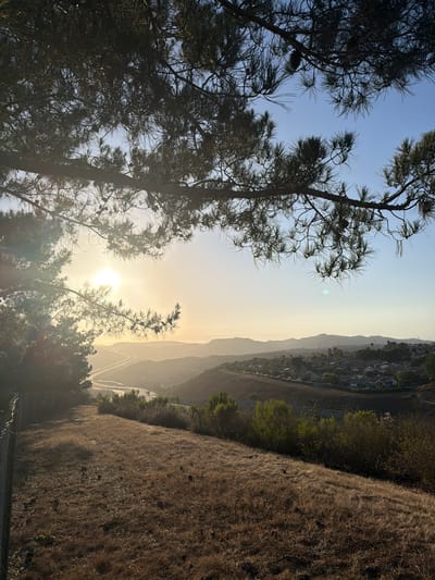The image captures a serene sunset scene in Aliso Viejo, California, USA. In the foreground, dry, golden grass covers a sloped terrain, with a chain-link fence running along the left edge. Pine branches, adorned with pinecones, frame the top of the scene, partially obscuring the bright, hazy sun. Beyond the foreground, a winding highway stretches through rolling hills, with a suburban neighborhood nestled on the slopes. The sky transitions from a soft golden hue near the horizon to a clear blue overhead. The overall atmosphere is tranquil, with the warm light of the setting sun casting long shadows.