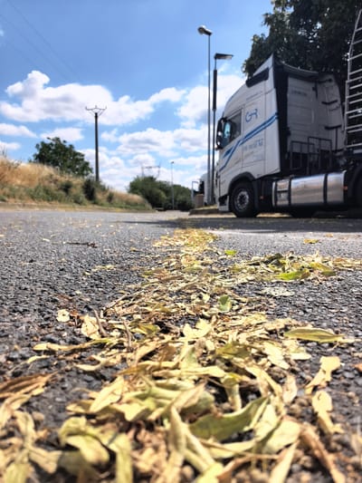 The image depicts a low-angle view of an asphalt road covered with fallen leaves, predominantly yellow and brown. In the background, a white semi-trailer truck is parked. The truck has blue and gray detailing with some text visible on its side, including a logo with the letters "GR" and the words "DE RESE M." A ladder is attached to the rear of the truck. To the left of the truck, a street lamp stands tall, and further in the background, power lines and utility poles are visible. The scene is set under a bright blue sky with scattered white clouds, suggesting a clear, sunny day. Trees and dry grass are visible along the side of the road, hinting at a rural or semi-rural location. The focus on the leaves in the foreground suggests it might be autumn, or a period where trees shed their leaves. There are no people visible in the image. The overall impression is a quiet, parked scene on a warm, bright day.