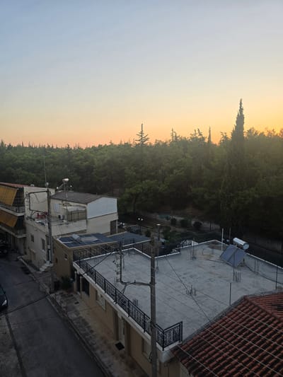 The image captures an aerial view of a residential street in the Municipal Unit of Nea Filadelfeia, Greece, during what appears to be early morning or late evening due to the soft, orange-pink hue of the sky. The scene is dominated by a dense forest of pine trees that forms a natural backdrop behind the buildings. In the foreground, several multi-story buildings are visible, characterized by their flat roofs, terracotta tiled roofs, and balconies with ornate black railings. Electrical wires and utility poles are prominent, strung across the view. On one of the flat roofs, solar panels are installed. A paved street with parked vehicles and a sidewalk with planters are visible on the left side of the image. The overall impression is one of a residential area adjacent to a significant green space.