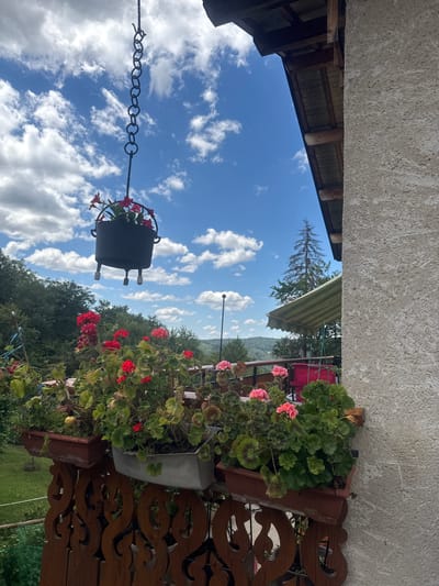 An outdoor balcony scene in Les Rousses, France, features a weathered concrete wall on the right, supporting a wooden overhang with a corrugated roof. Below the overhang, an awning with green and white stripes is partially visible. The balcony railing is made of intricately carved dark wood. Various potted plants, including red and pink geraniums, are arranged on the balcony, some in brown plastic planters and one in a gray planter. A black hanging planter with red flowers dangles from a chain above. In the background, a lush green landscape with trees and rolling hills stretches under a bright blue sky dotted with fluffy white clouds. A tall, slender pine tree stands prominently against the sky. The scene is illuminated by natural daylight, suggesting it is daytime.
