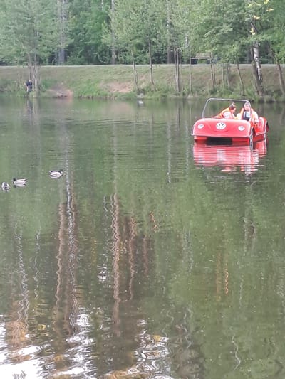 The image shows a red pedal boat in the water, possibly a lake or pond, in Yegoryevsk, Russia. The boat is shaped like a Volkswagen Beetle and is occupied by two people. The water is slightly rippled, reflecting the boat and the surrounding trees and greenery. There are also several ducks swimming in the water near the bottom of the frame. The scene is likely taken during the day, with natural light illuminating the environment.