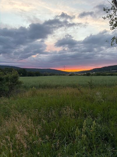 The image depicts a rural landscape at sunset in Verinsko, Bulgaria. The foreground is dominated by tall, wild grass, with some drier, lighter-colored stalks interspersed. Behind the grass is a large, flat field of green vegetation, possibly a crop. In the midground, a line of trees separates the field from a rolling hill covered in more dense forest. The sky is filled with dramatic clouds, ranging from dark gray to lighter shades, with a vibrant orange and pink sunset visible on the horizon, partially obscured by the hills. Power lines stretch across the sky from the left side of the image towards the center, supported by tall pylons. A single tree branch with green leaves extends into the frame from the upper right corner. The scene is peaceful and natural, with no people or animals visible.
