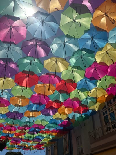 This media file showcases a vibrant street art installation in Águeda, Portugal, featuring a colorful canopy of hundreds of open umbrellas suspended overhead. The umbrellas, in a wide spectrum of hues including pink, orange, yellow, green, blue, and purple, create a dazzling visual spectacle. They are strung together, forming a dense, undulating ceiling that covers the street below. The scene is set during the day, with the bright sunlight filtering through the translucent fabric of some umbrellas, casting soft shadows and highlighting the rich colors. The overall mood is cheerful and whimsical, likely part of a public art event or festival. In the upper portion of the image, architectural details of buildings are visible, including windows and balconies, suggesting an urban or town setting. The umbrellas are the primary subjects, filling the frame and creating a sense of immersive wonder. There are no people clearly visible in this particular frame, and no visible text.