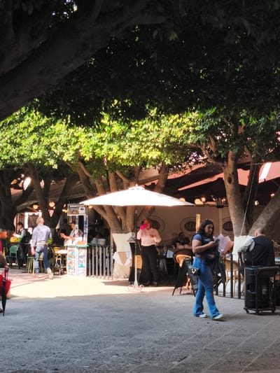 The image depicts an outdoor scene in what appears to be a plaza or public space in the city of Querétaro, Mexico. The setting is under the shade of large trees, creating a mix of light and shadow. Several people are present, including pedestrians and patrons of a restaurant.
In the foreground, a woman in jeans and a dark top is walking while looking at her phone. To the left, a man in a light-colored shirt and jeans is walking towards the restaurant area.
The restaurant area is defined by white fences and umbrellas that provide shade for the tables and diners. A waiter in a white shirt and dark pants is standing near a table. There are multiple people seated at tables in the restaurant area, some of whom are obscured by the fencing and trees.
The environment includes a stone-paved ground, typical of plazas in Mexican cities. In the background, there is a sign with the number "1810" visible, which may indicate a historical landmark or a business name. The trees overhead are full and leafy, providing a dense canopy.