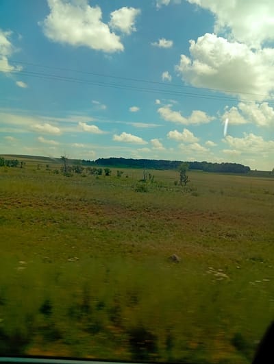 The image depicts a vast, open landscape under a bright blue sky dotted with fluffy white clouds. The foreground consists of a grassy field, appearing somewhat blurred as if captured from a moving vehicle. In the mid-ground, the terrain transitions to a more undulating prairie with scattered trees and bushes. A distant tree line forms a dark, horizontal band across the horizon. Overhead, a series of thin, dark lines, likely power lines, stretch horizontally across the sky. The overall scene evokes a sense of rural or natural scenery. The provided location, Berezovka, Kazakhstan, suggests this could be a typical landscape found in that region. There are no visible people or specific human actions depicted.