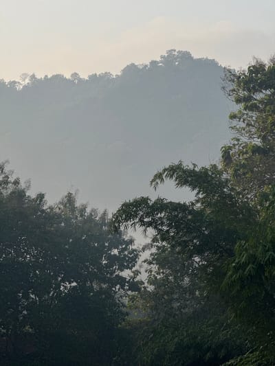 The image depicts a hazy, mountainous landscape with dense foliage in the foreground. The sky is overcast with a pale, yellowish hue, suggesting early morning or late afternoon light. The distant mountains are largely obscured by mist, with only their silhouettes visible against the sky. In the foreground, lush green trees, including what appears to be bamboo, dominate the frame. The overall atmosphere is serene and natural. This scene could be representative of the natural environment found in and around Kalirancang, Indonesia, a region known for its verdant hills and tropical climate. There are no people or discernible objects of human construction in the image.