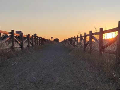 The image depicts a dirt path flanked by wooden fences at sunset. The sky is a gradient of orange and yellow, with the sun setting on the right side of the frame. A small tree is visible in the distance along the path. A sign reading "VALVERDE DE LEGANÉS" is attached to the fence on the left. A speed limit sign indicating "70" is also present on the left side of the path. A contrail from an airplane is visible in the upper right portion of the sky. The ground is covered with dirt and sparse vegetation. The scene appears to be an open, rural area.